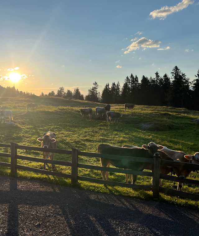 Haiminger Alm
