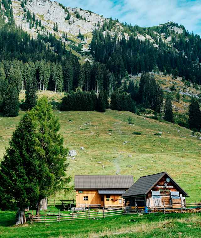 Die Kinkhütte ist Teil eines idyllischen Almdorfes mit dem Namen Hinteregger Alm, einer sogenannten Niedrigalm.