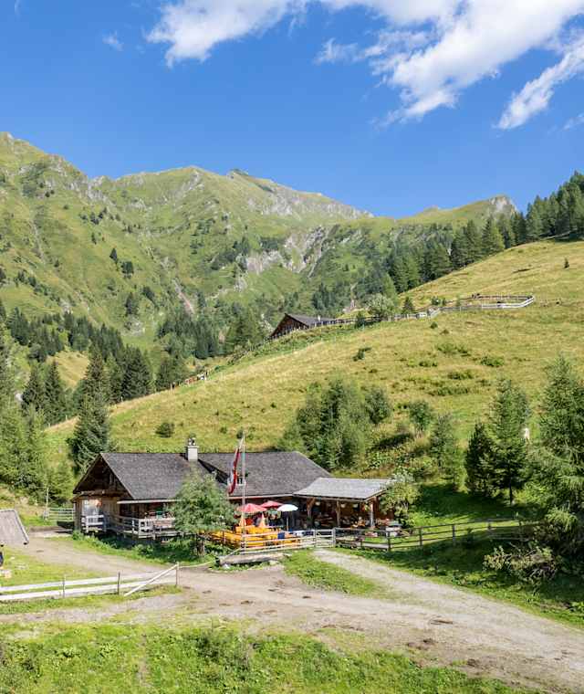 Die Kreealm-Kreehütte liegt in den Radstädter Tauern.