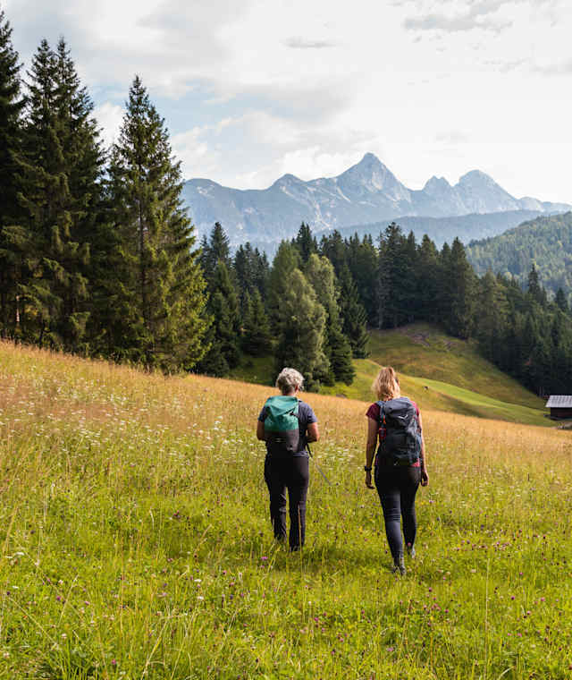 Auf dem Weg zur Wildmoosalm