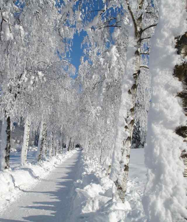 Winterwanderweg Strobl 
