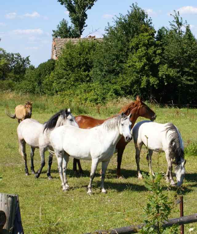 Beim Forsthaus Waldhof.