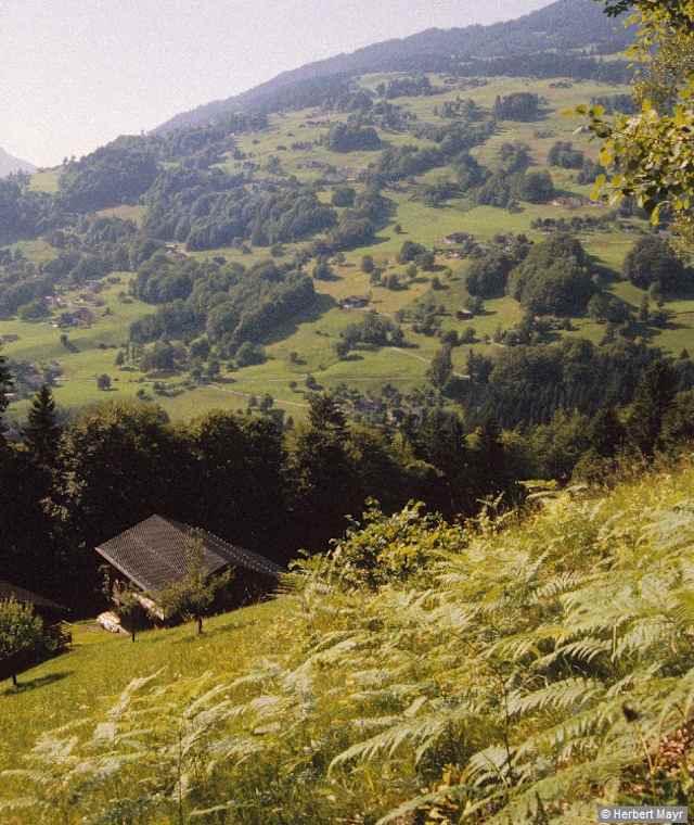 Wandergebiet Bartholomäberg