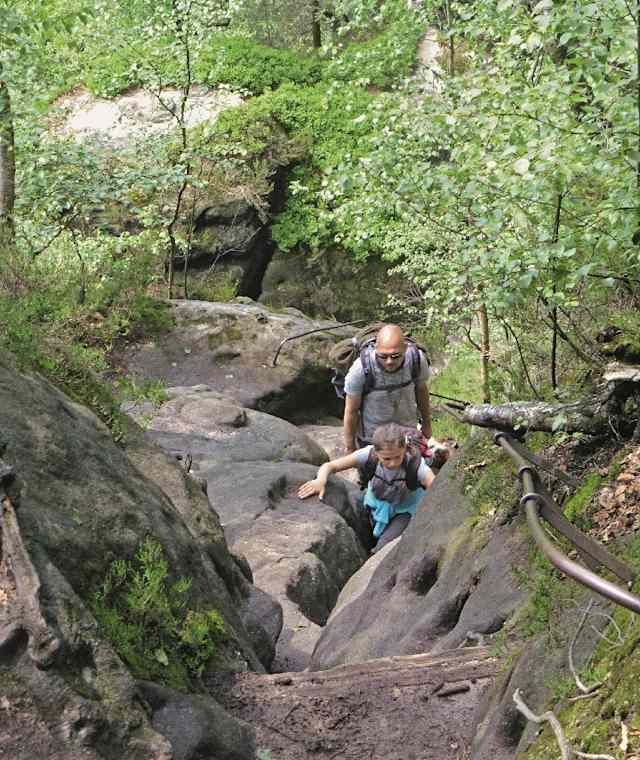 Bergpfad zur Rotkehlchenstiege