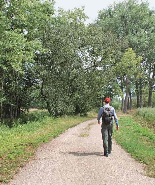 Wanderweg beim Teichgebiet Kosebruch.