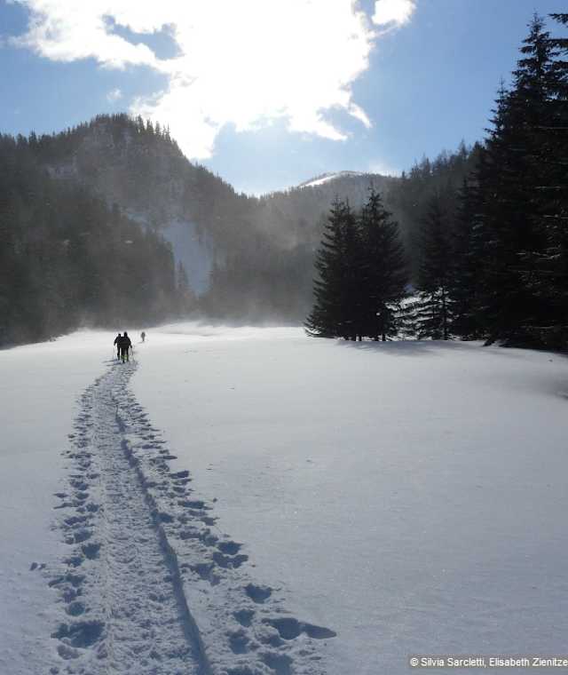 Vom Parkplatz an der Seebergalm führt der Wanderweg zum Seebergsattel in Richtung Westen.