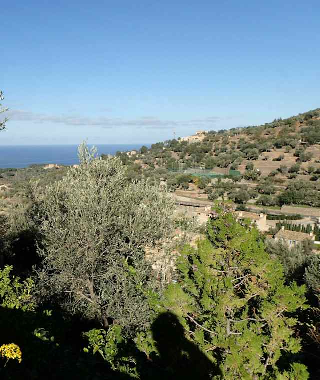 Meerblick in Deià 