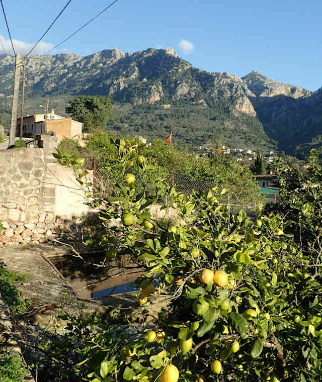 Blick zur Tramuntana von Binibassi 
