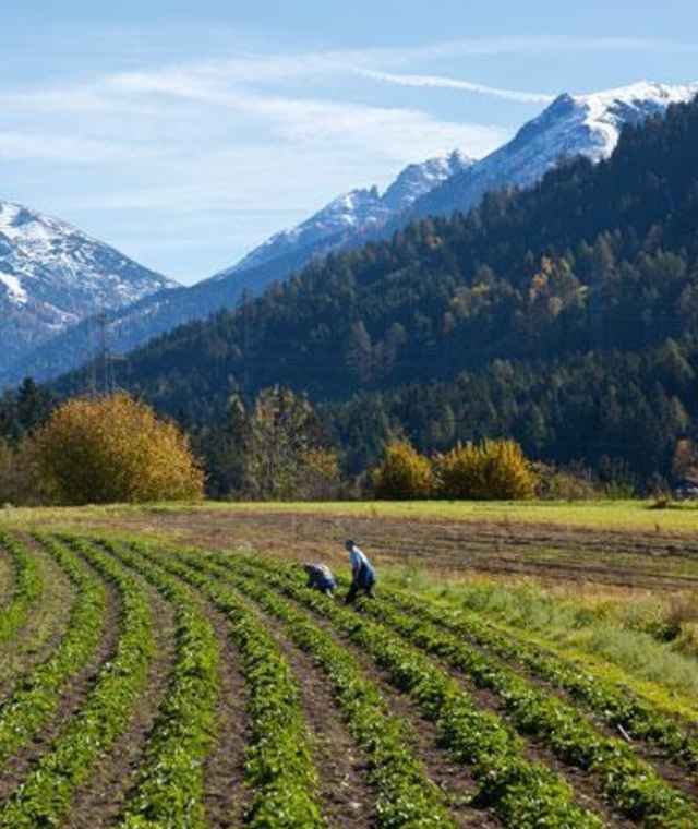 Wanderweg Unterperfuss Itzlranggen