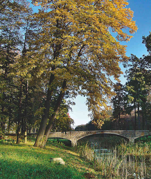 Nordufer Schlossgarten Eckartsau
