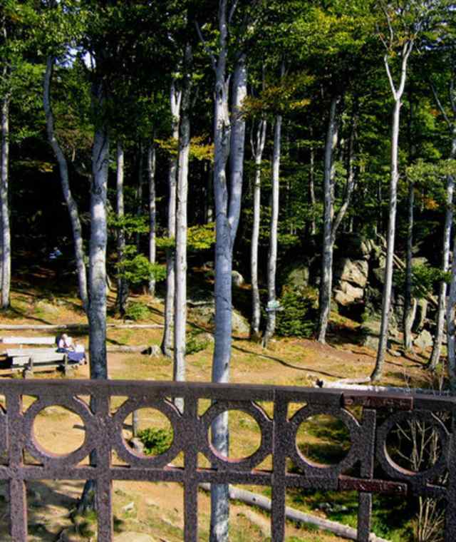 Goldsteig Zuweg Nr. 30: Von Grandsberg auf den Hirschenstein