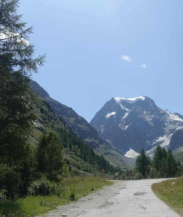 Blick von Arolla auf den Mont Collon
