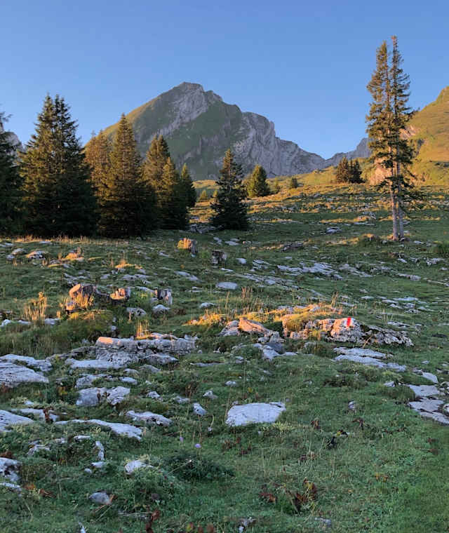Im Aufstieg zum Selun, links der Frumsel