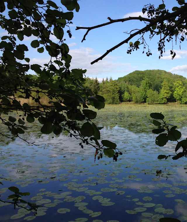 Der Bleichsee