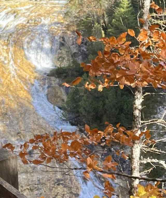 Blick in die Karwendelschlucht