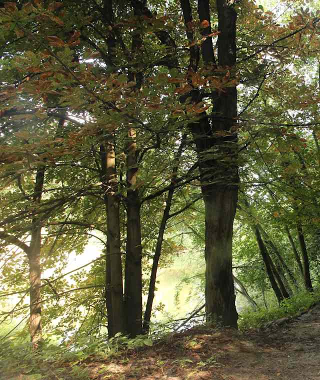 Wanderweg Hainburg