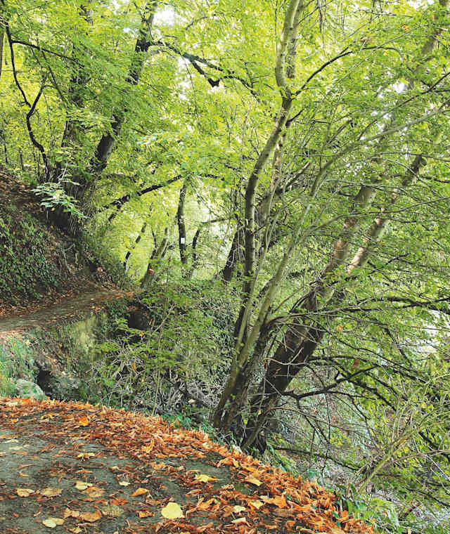 Wandern am Keltenweg