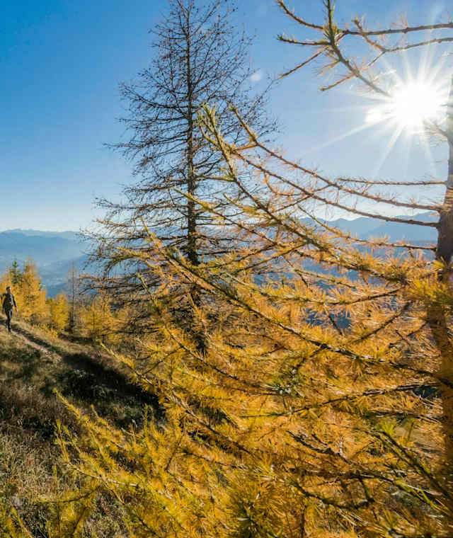 Die Almwanderung ist besonders im Herbst lohnend
