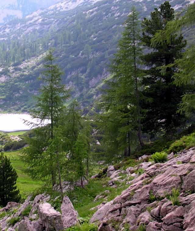 Der Elmsee 