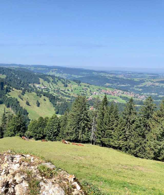 Blick auf Steibis vom Prodel