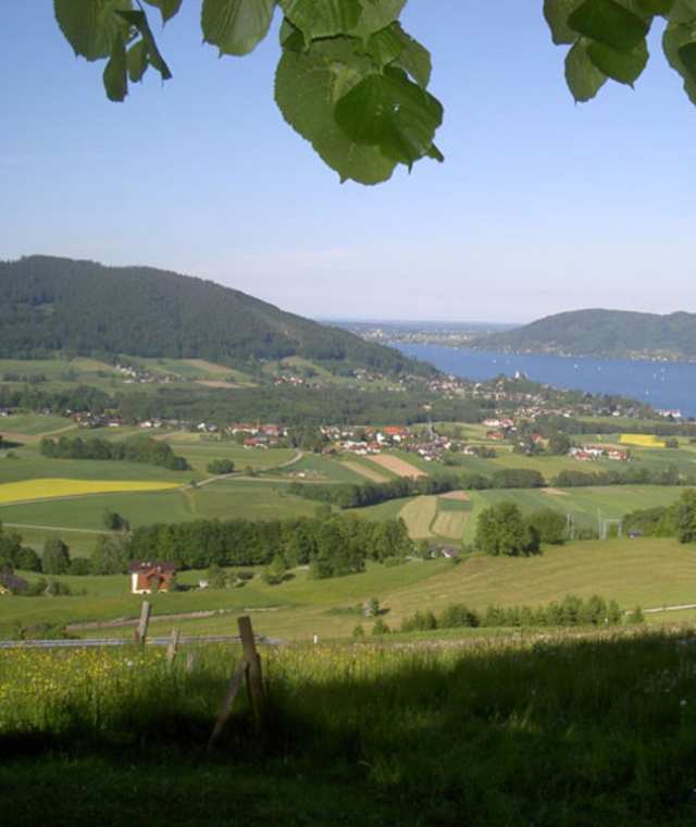 Ausblick auf den Attersee