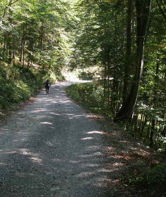 Stadtberg