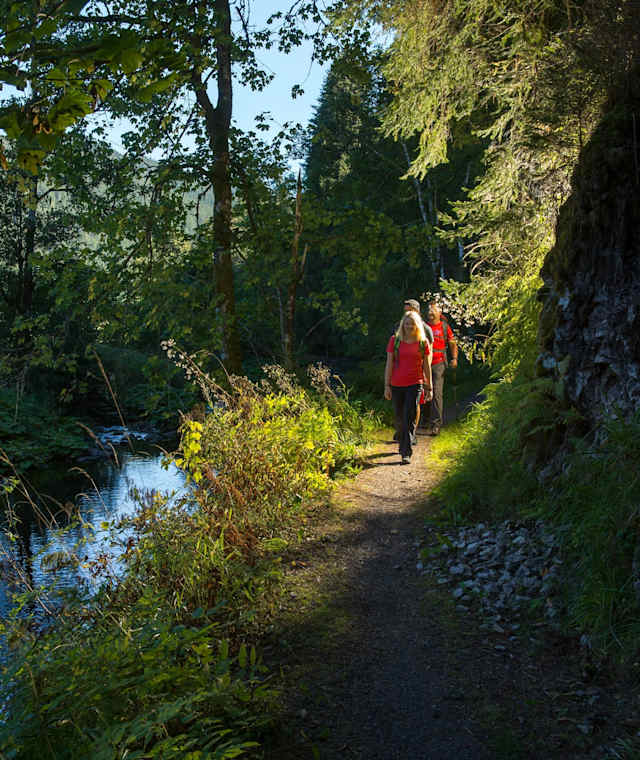 Pfad an der Alb bei St. Blasien-Glashof