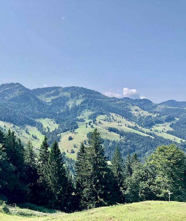 Blick auf die Nagelfluhkette vom Prodel
