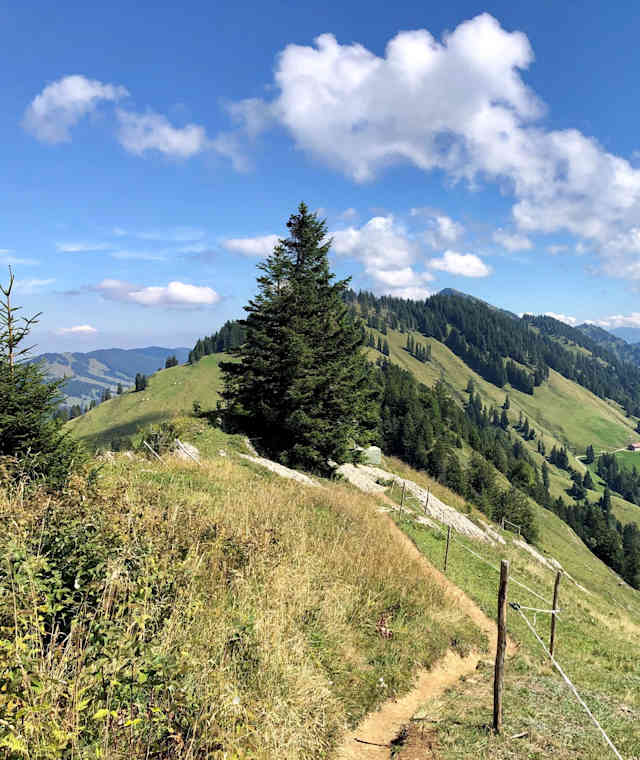 Auf dem Grat zum Falken