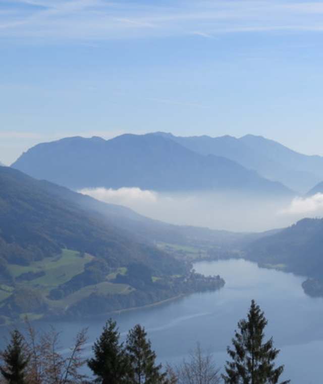 Blick auf den Mondsee