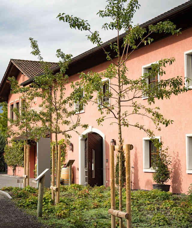 Liechtenstein-Weg Etappe 3