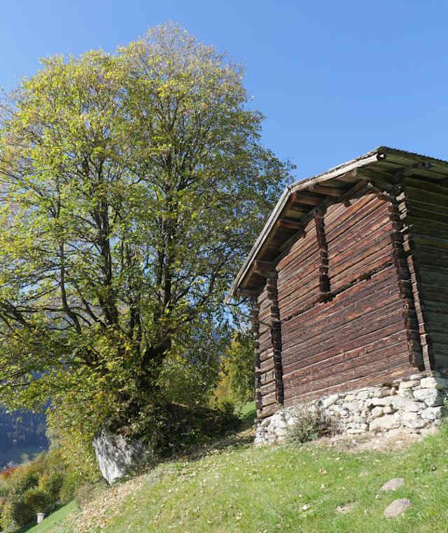 Finkenberg-Stein Astegg (Finkenberg)