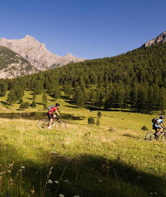 Die Tour führt über wunderbare Wiesen ...