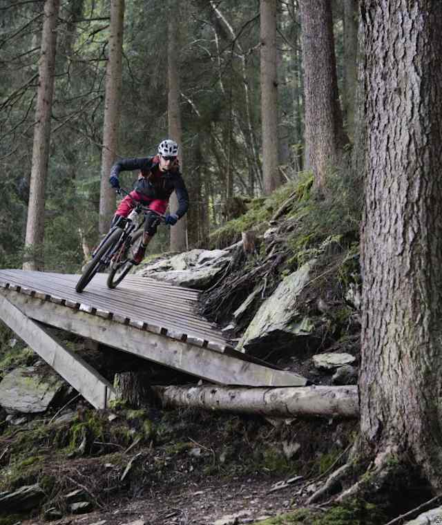 Singletrail Wiesenalm am Rohrberg