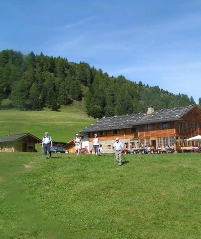 Die Kreuzwiesen Alm