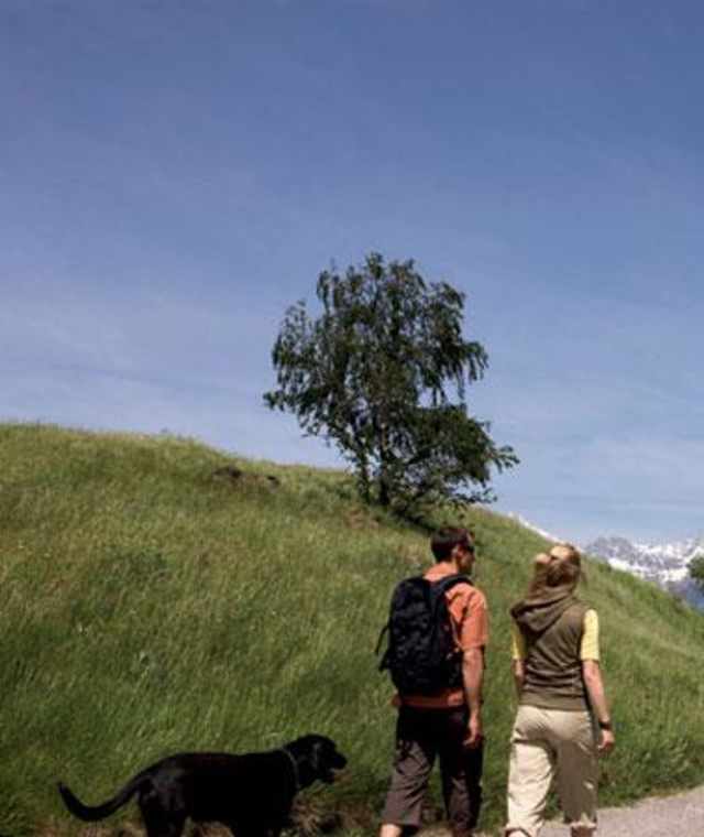 Itzelranggen