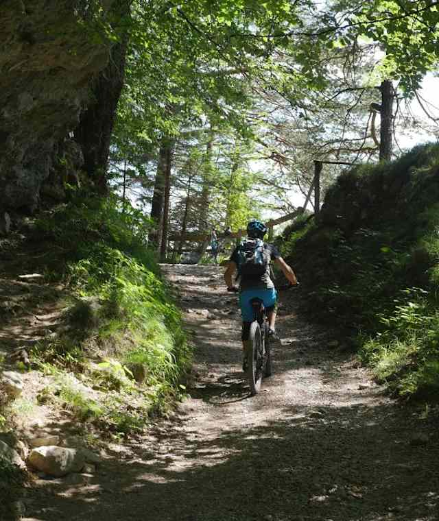 Adolf-Pichler-Weg