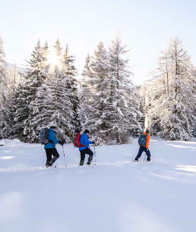 Mit Schneeschuhen zum Obernberger See