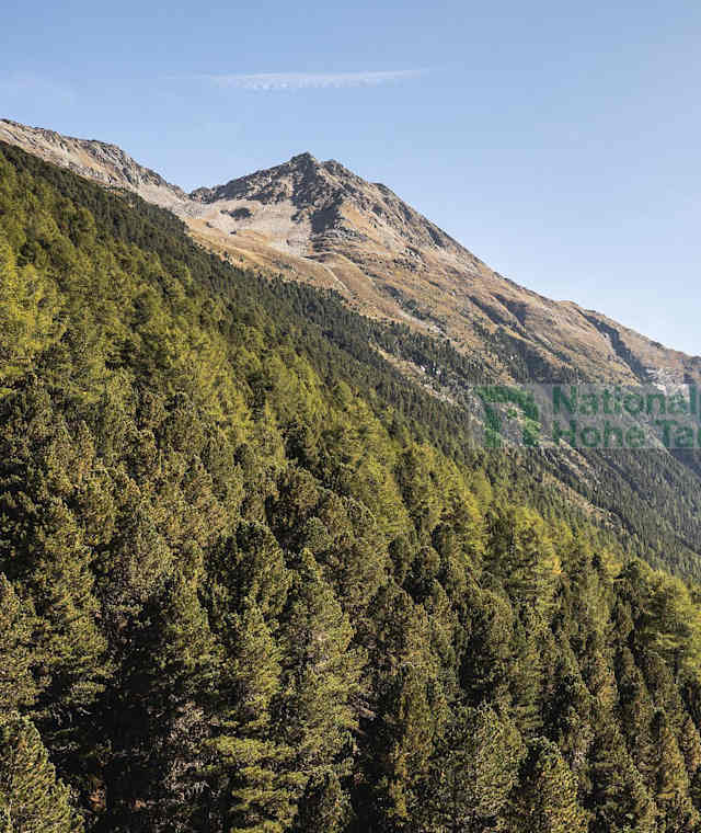 Der Oberhauser Zirbenwald im Nationalpark Hohe Tauern Osttirol