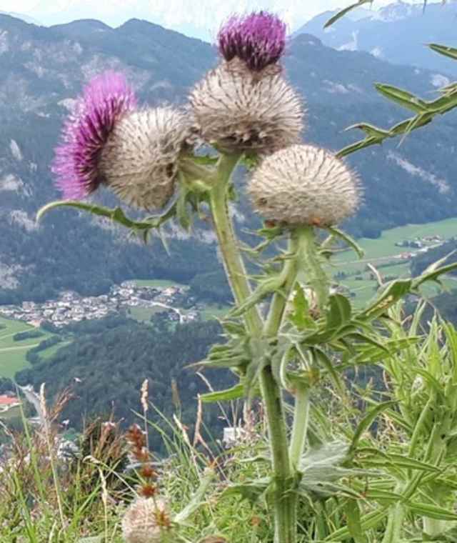 Toller Ausblick vom Gipfel