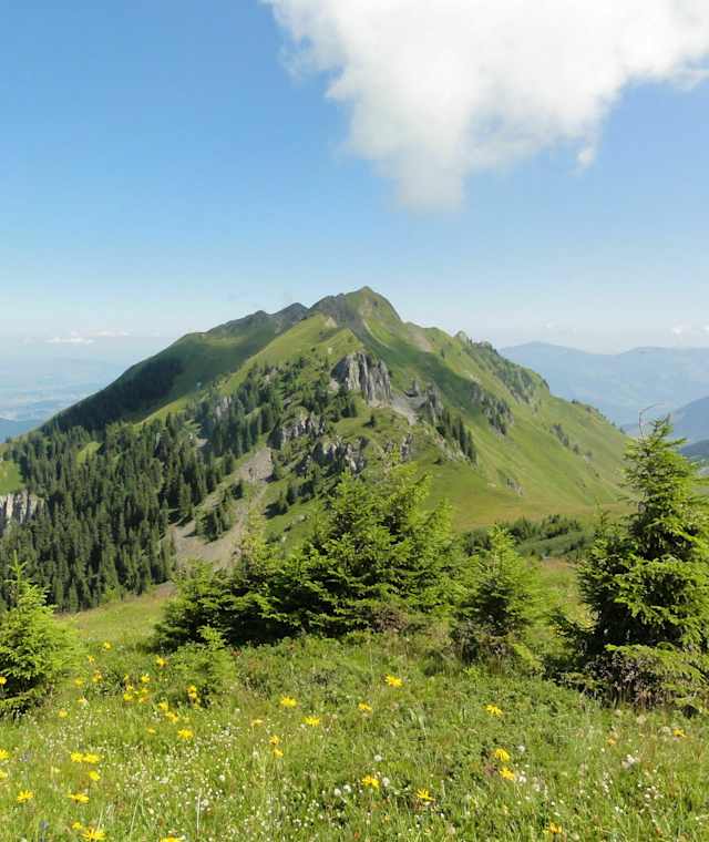 Traumhaftes Bergpanorama