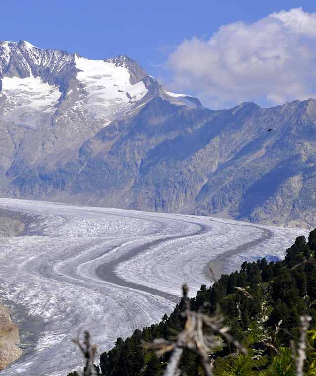 Blick auf den Aletschgletscher