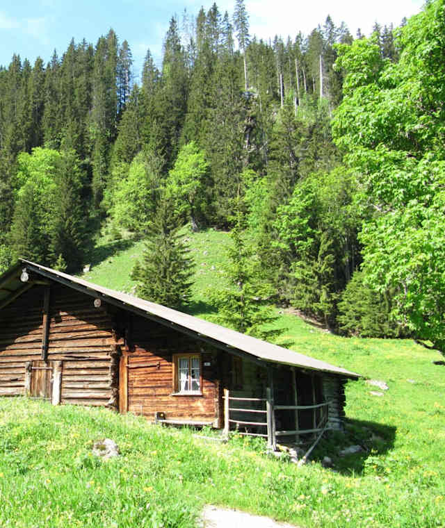 Alphütte auf der Alp Botchen.