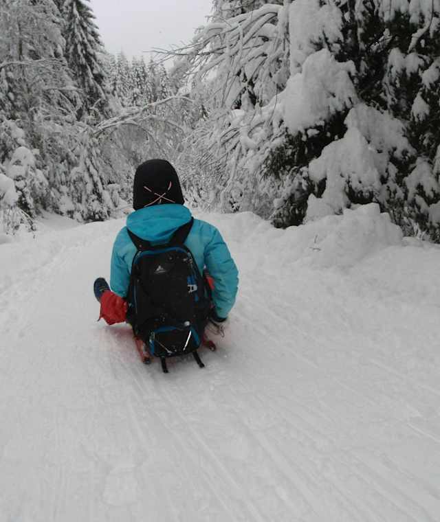 Rodelspaß von der Allrissalm