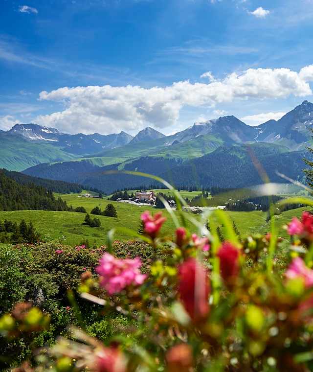 Die Aussicht von der Mittelstation