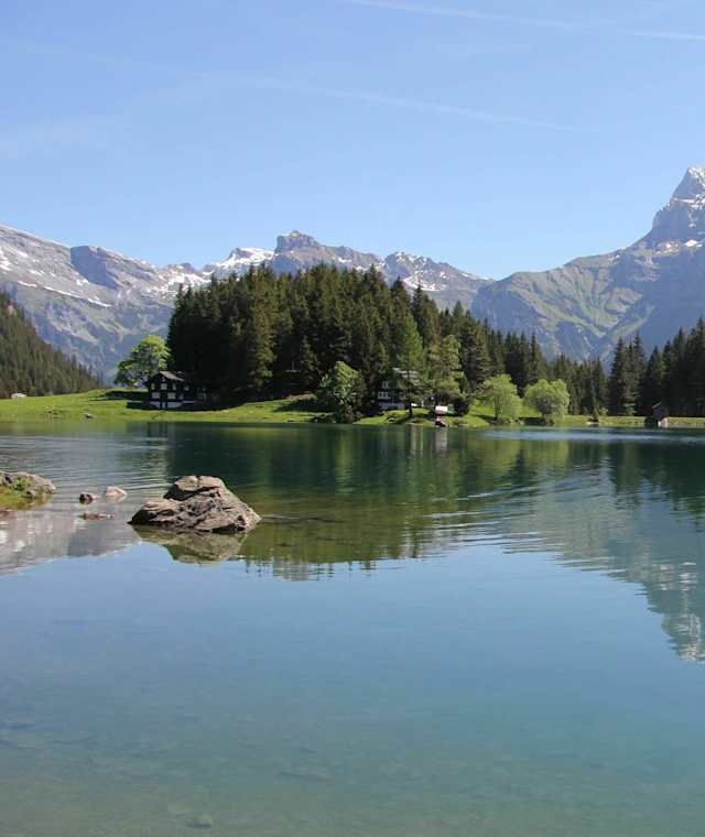 Arnisee
