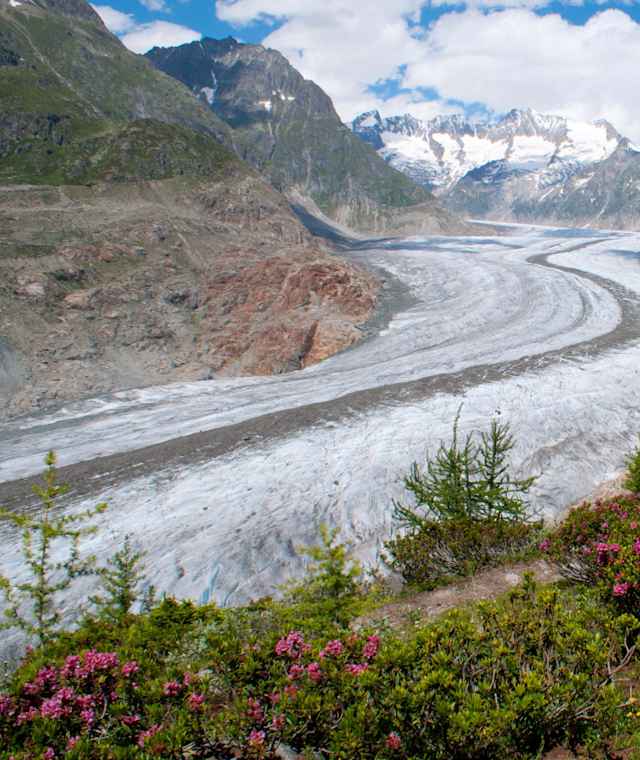 Blick auf den Aletschgletscher
