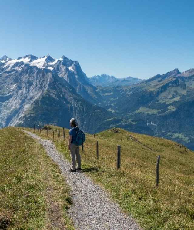 Panoramablick von Planplatten.