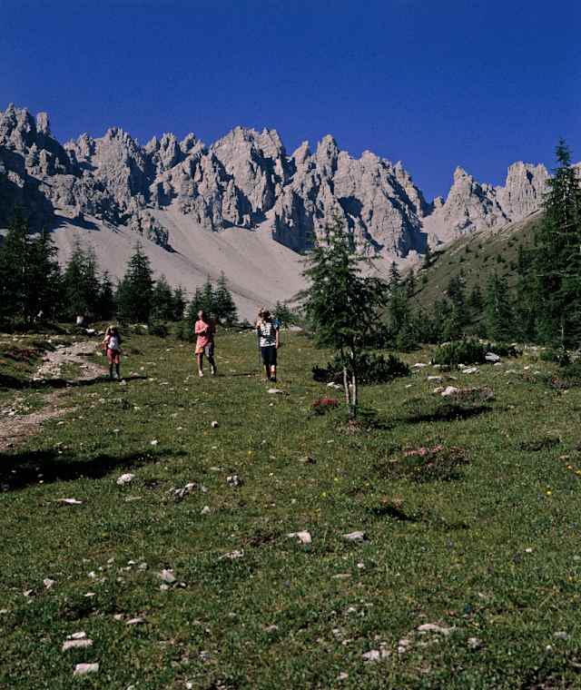 Kerschbaumeralm-Schutzhütte
