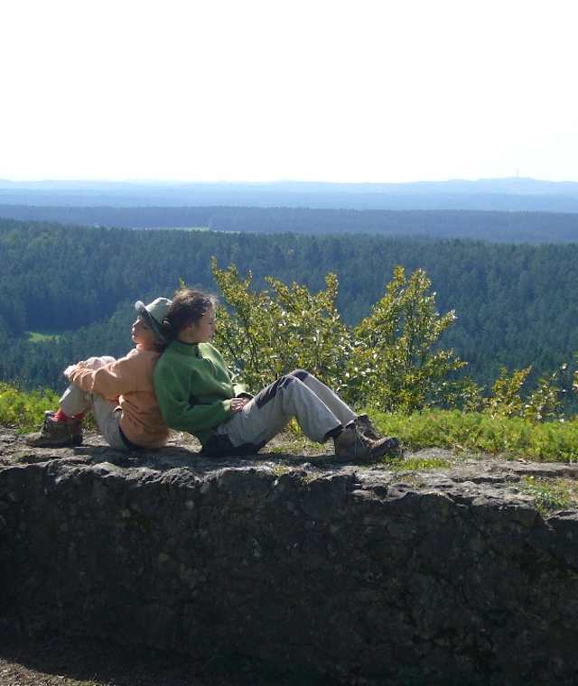 Ruine Hollenberg
